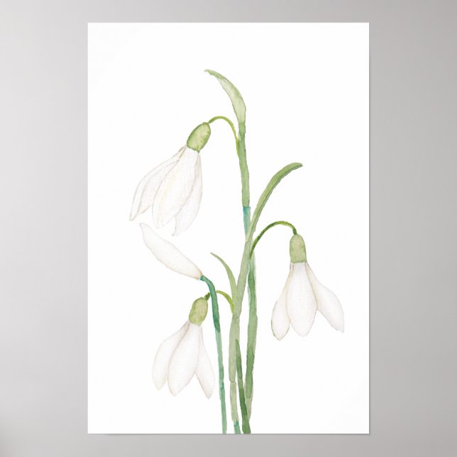 vattenfärg för angeliska snöblommor poster (Framsidan)