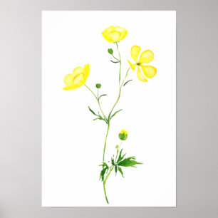 Vattenfärg för gult-knapp-blomma poster
