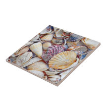 Vattenfärg för havsviken Nautisk Snäckor