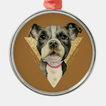 Vattenfärg för hund för tjur "för valpöga" grop