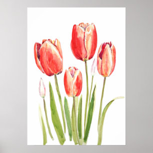 Vattenfärg för orange av tulpaner poster