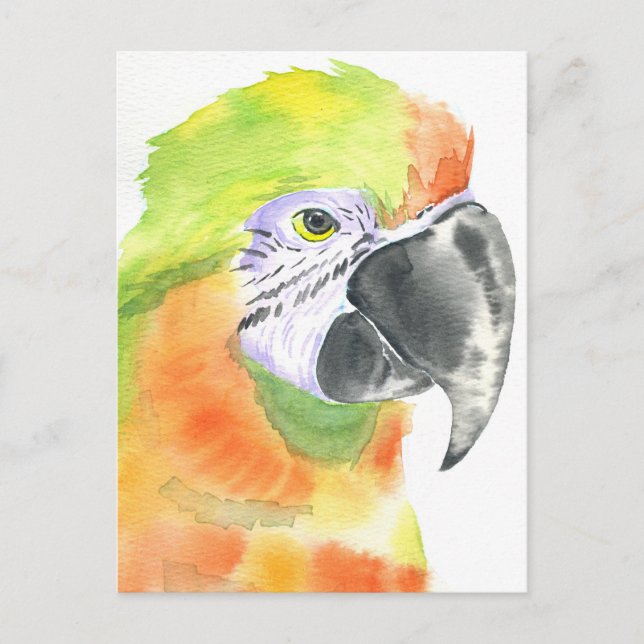 Vattenfärg för parrot vykort (Framsida)