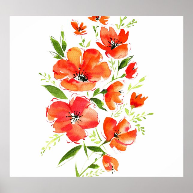 Vattenfärg för prydnadsvallmo: Isolerad Bouquet Poster (Framsidan)
