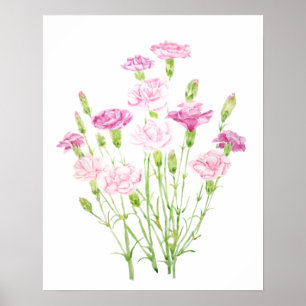 Vattenfärg för rosa av nejlikblommor poster