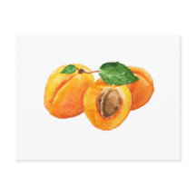 Vattenfärg för sommaraprikoser