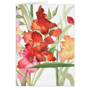Vattenfärg Gladiolas Hälsningskort