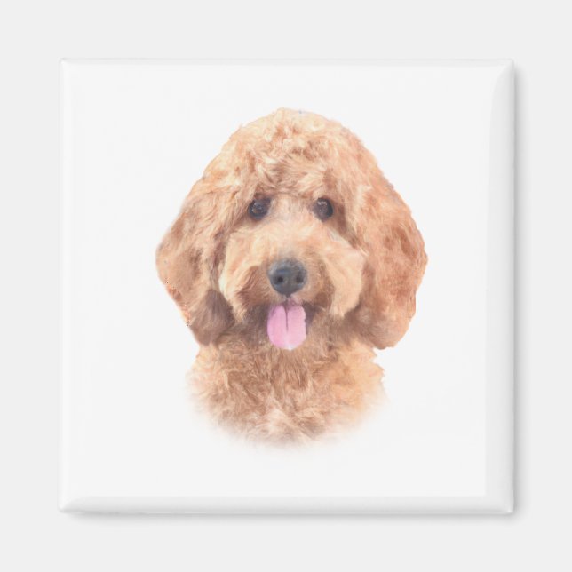 Vattenfärg Goldendoodle Magnet (Framsidan)