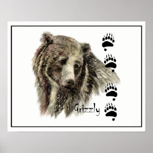Vattenfärg Grizzly Bear Animal Nature Art Poster