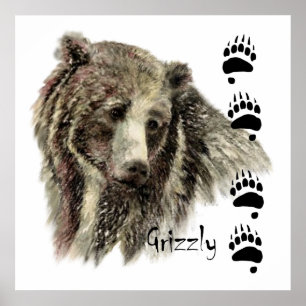 Vattenfärg Grizzly Bear Wildlife Nature Art Poster