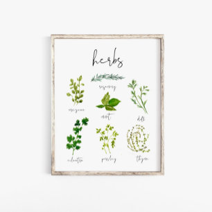 Vattenfärg Herb Kitchen Print Wall Art Poster