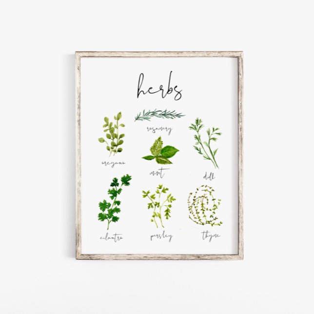 Vattenfärg Herb Kitchen Print Wall Art Poster (Skapare uppladdad)