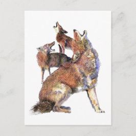 Vattenfärg Howling Coyotes Animal Nature Art Vykort