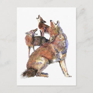 Vattenfärg Howling Coyotes Animal Nature Art Vykort