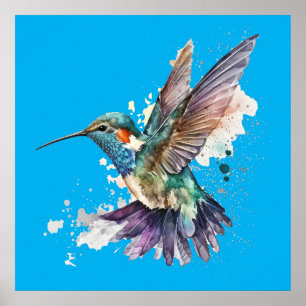 Vattenfärg Hummingbird Poster