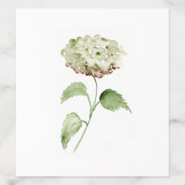 Vattenfärg Hydrangea