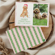 Vattenfärg jultomten Hund Photo