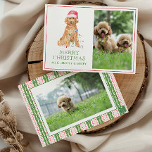 Vattenfärg jultomten Hund Photo