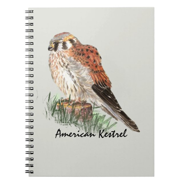 Vattenfärg Kestrel Falcon Bird Nature Art Anteckningsbok Med Spiral (Framsidan)