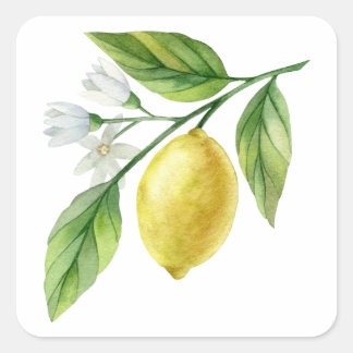 Vattenfärg Lemon Mönster Affisch Fyrkantigt Klistermärke