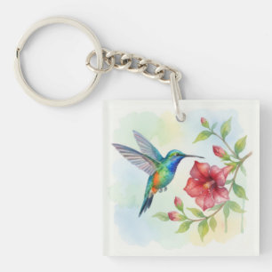 Vattenfärg Liten Kolibri