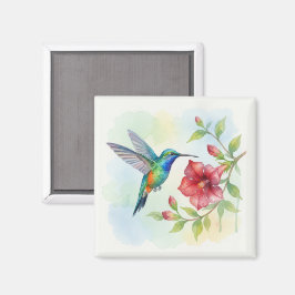 Vattenfärg Liten Kolibri Magnet