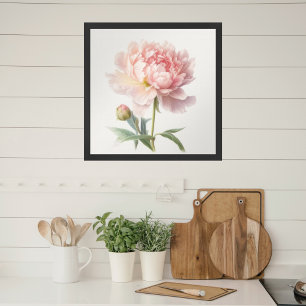 Vattenfärg Mjuk Rosa Pion i Blomning fyrkantig Poster