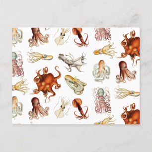 Vattenfärg Octopus Cephalopod Ocean Animals Helg Vykort