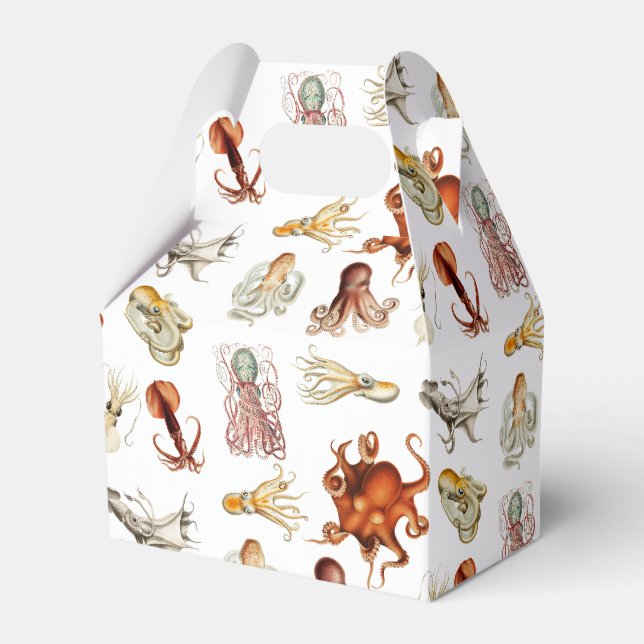 Vattenfärg Octopus Cephalopod Ocean Animals Presentaskar (Framsidan Sidan)