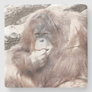 Vattenfärg Orang 2 Stenunderlägg