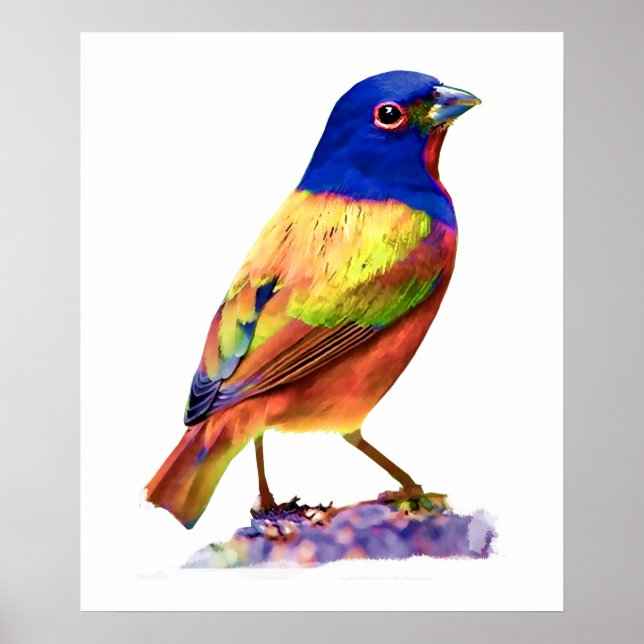 Vattenfärg Paskriven Bunting Sång Bird Poster (Framsidan)
