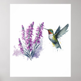 Vattenfärg Penstemon Flower och Hummingbird Poster