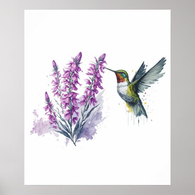 Vattenfärg Penstemon Flower och Hummingbird Poster (Framsidan)