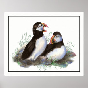 Vattenfärg Puffin Ocean Bird art Poster