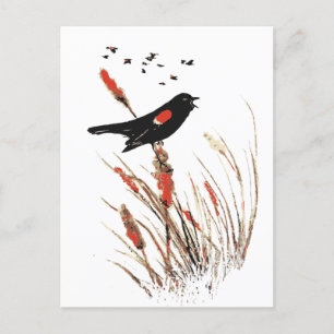Vattenfärg Red Winged Blackbird Bird Art Helg Vykort