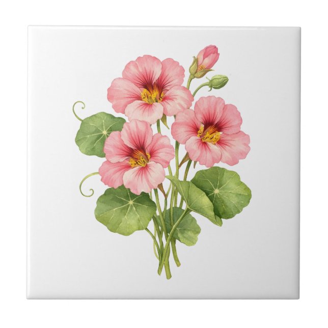 Vattenfärg Rosa Nasturtium Blommor Kakelplatta (Framsidan)