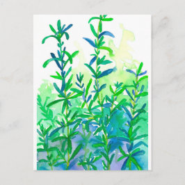 Vattenfärg Rosemary Herb Blue Vykort