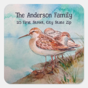 Vattenfärg Sandpiper Vatten fågelart Art Fyrkantigt Klistermärke