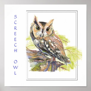Vattenfärg, Screech Uggla, Bird Print Poster