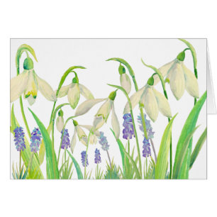 Vattenfärg Snowdrops och Muscari Hälsningskort