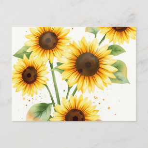 Vattenfärg Solblommor med Cream Kant Vykort