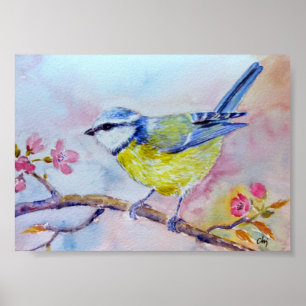 Vattenfärg som målar den Bluetit blåttfågeln Poster