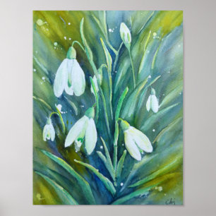 Vattenfärg som målar Snowdrops Poster