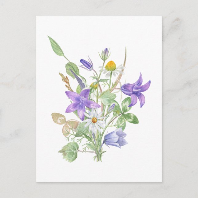 Vattenfärg sommarblommor  vykort (Framsida)
