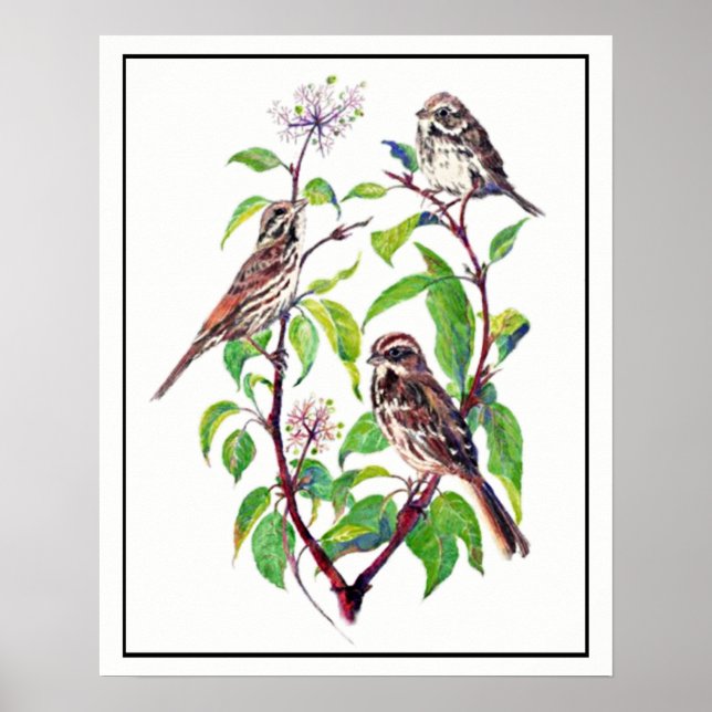 Vattenfärg Sparrow Birds på Dogwood Art Poster (Framsidan)