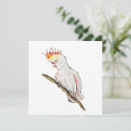 Vattenfärg teckning i en cockatoo-papegoja