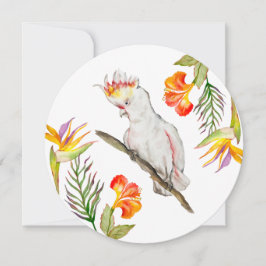 Vattenfärg teckning i en cockatoo-papegoja inbjudningar