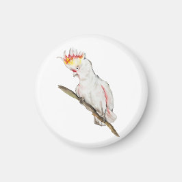 Vattenfärg teckning i en cockatoo-papegoja magnet