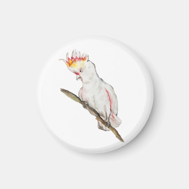 Vattenfärg teckning i en cockatoo-papegoja magnet (Framsidan)