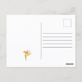 Vattenfärg teckning i en cockatoo-papegoja vykort