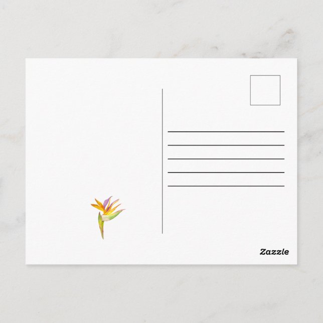 Vattenfärg teckning i en cockatoo-papegoja vykort (Baksida)